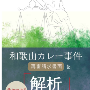 和歌山カレー解説本 【チャートで解説】和歌山カレー事件 再審請求書面を解析してみると…