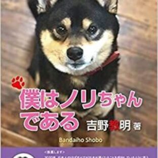 僕はノリちゃんである