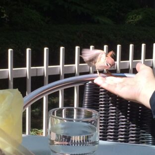 ◆ライター・ジャーナリスト・ノンフィクション作家等募集