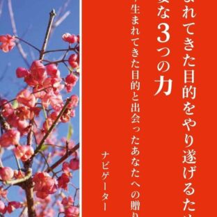 生まれてきた目的をやり遂げるために必要な3つの力 ~生まれてきた目的と出会ったあなたへの贈り物~
