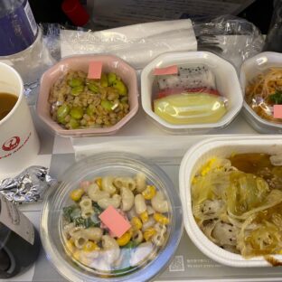 食事の「1日3回と適量」の壁~「食べたい時に食べる、食べたくない時は食べない」を実践する私には、きつかった~