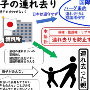 ◆子どもの連れ去り問題は、子どもの最善の利益が弁護士のメシの種にされているケースが相当数ある。