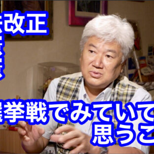 ◆「憲法改正　創憲　護憲　選挙戦でみていて思うこと vol.359」