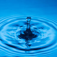 ◆2026年内にやりたいこと１００（1月1日現在、順不同）