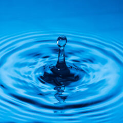 8月31日、夏の終わりに寄せて