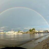 ◆新年度になった