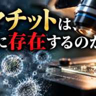 ソマチットは、本当に存在するのか？