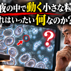 血液の中で動く小さな粒子。あれはいったい何なのか？
